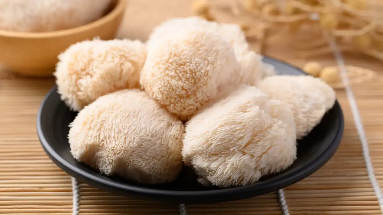 Health Benefits of Lion's Mane Mushroom Extract Powder and Side Effects
